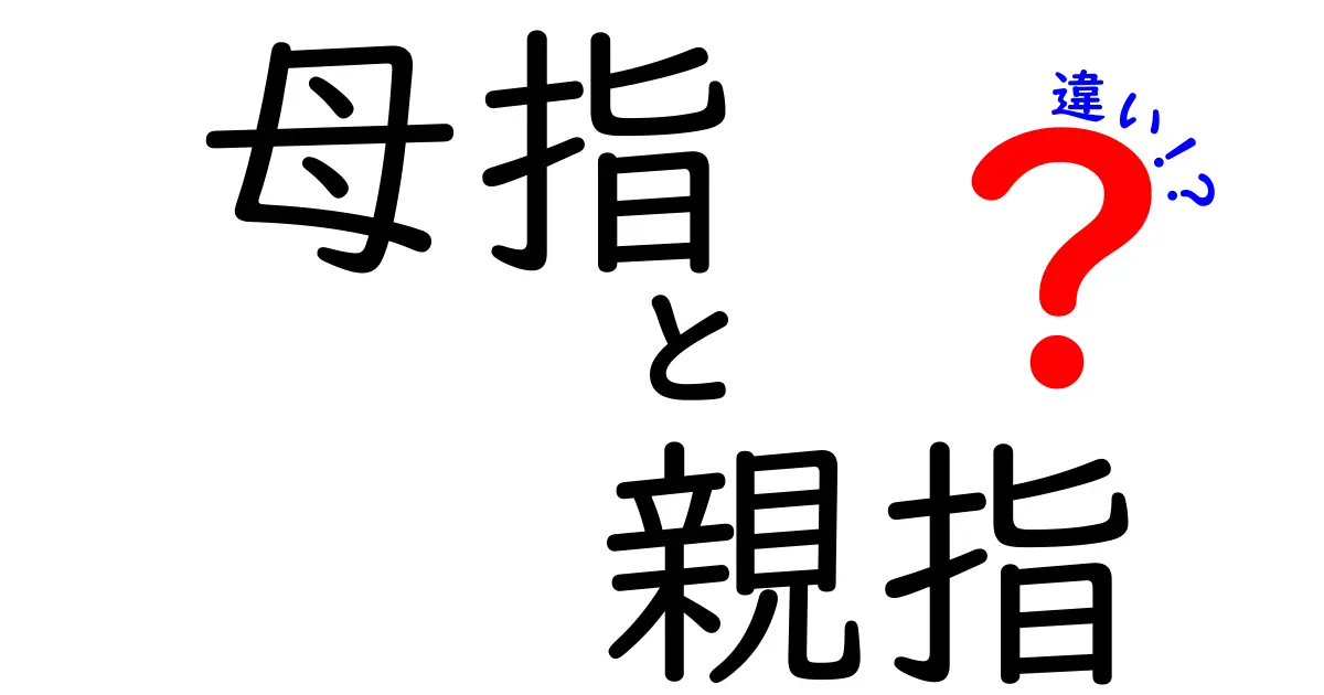 母指と親指の違いを徹底解説！医療用語と日常語の使い分けを学ぼう