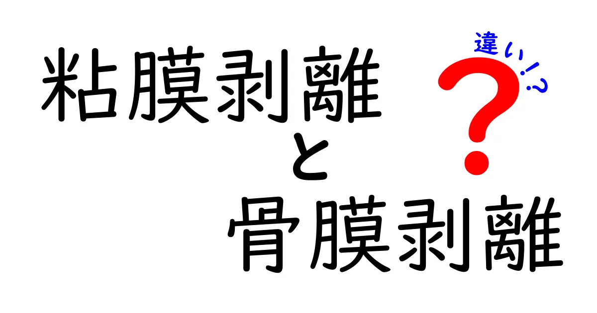 粘膜剥離と骨膜剥離の違いをわかりやすく徹底解説｜どちらが起こると困るのかを見分けるコツ