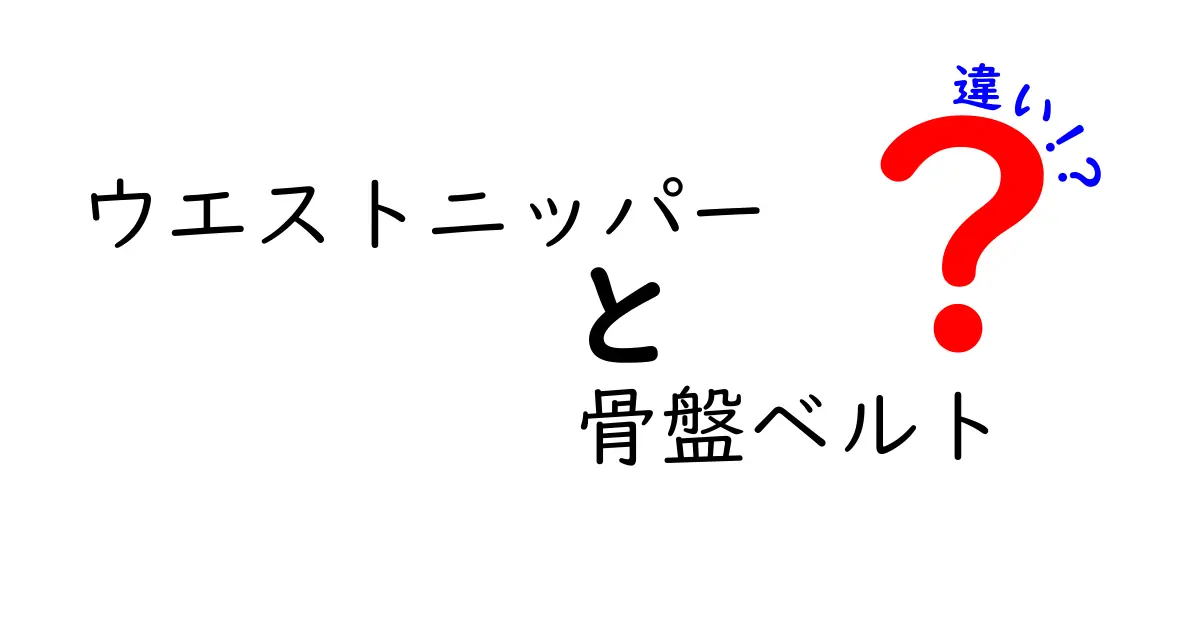 ウエストニッパーと骨盤ベルトの違いを徹底解説｜用途別の選び方と使い方ガイド