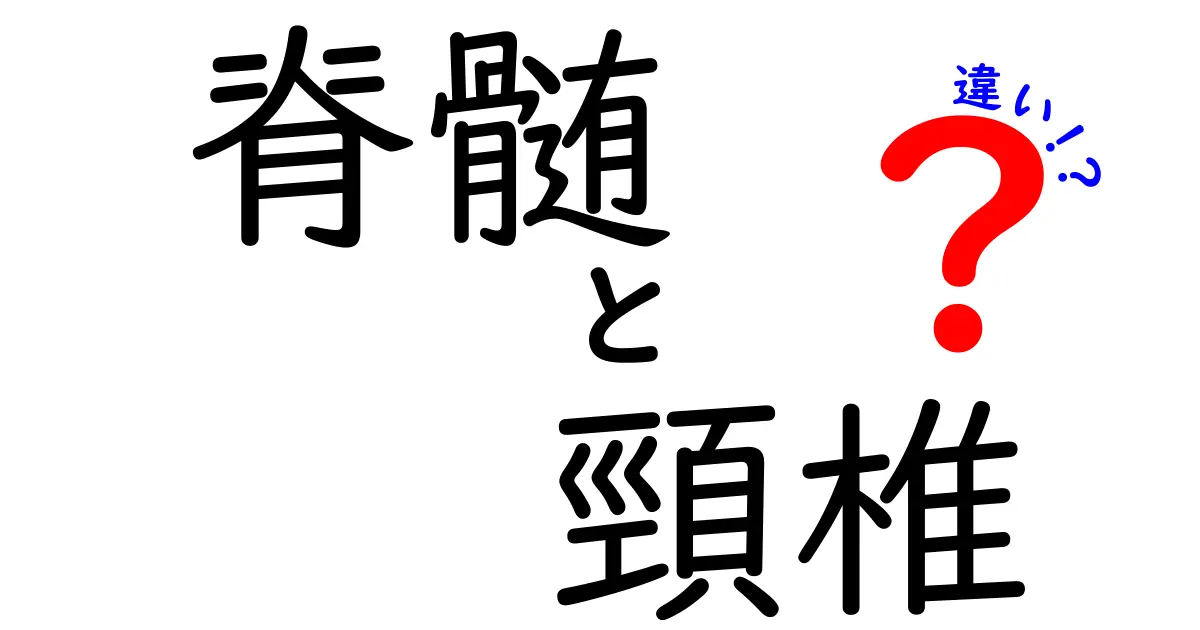 脊髄と頸椎の違いを徹底解説：痛みの正体を見抜く、中学生にも伝わる図解と分かりやすい解説
