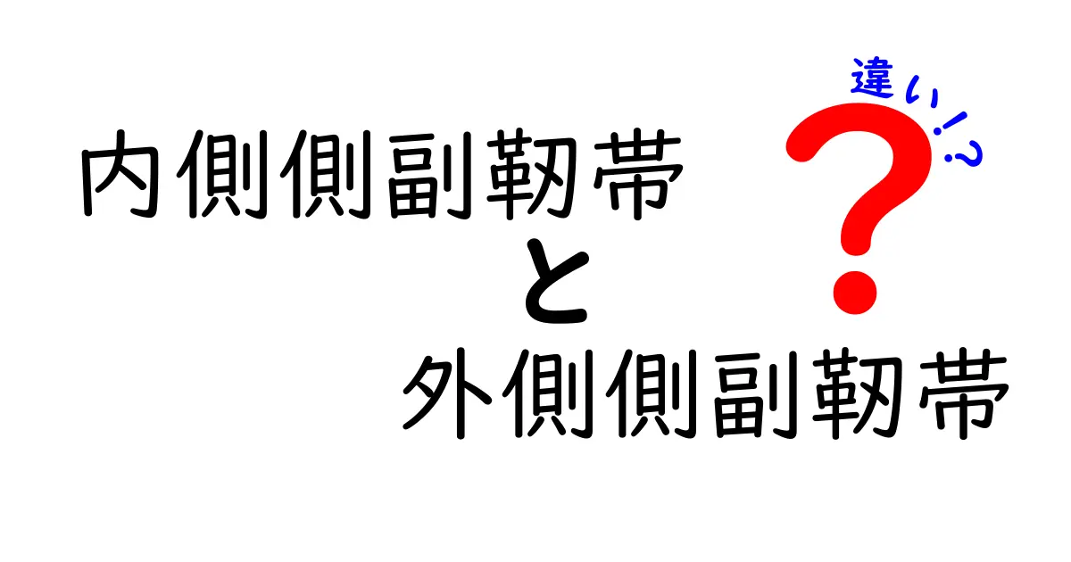 内側側副靭帯と外側側副靭帯の違いを徹底解説！膝の痛みを正しく読み解くポイント