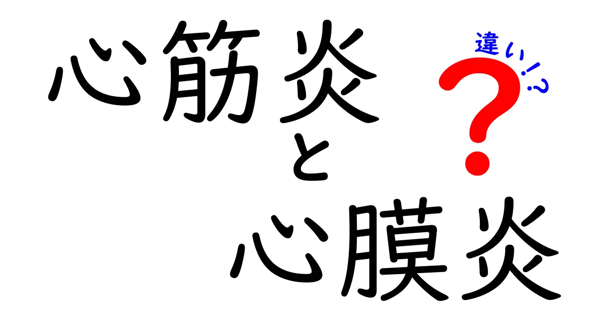 心筋炎と心膜炎の違いを徹底解説！症状・原因・治療をわかりやすく比較
