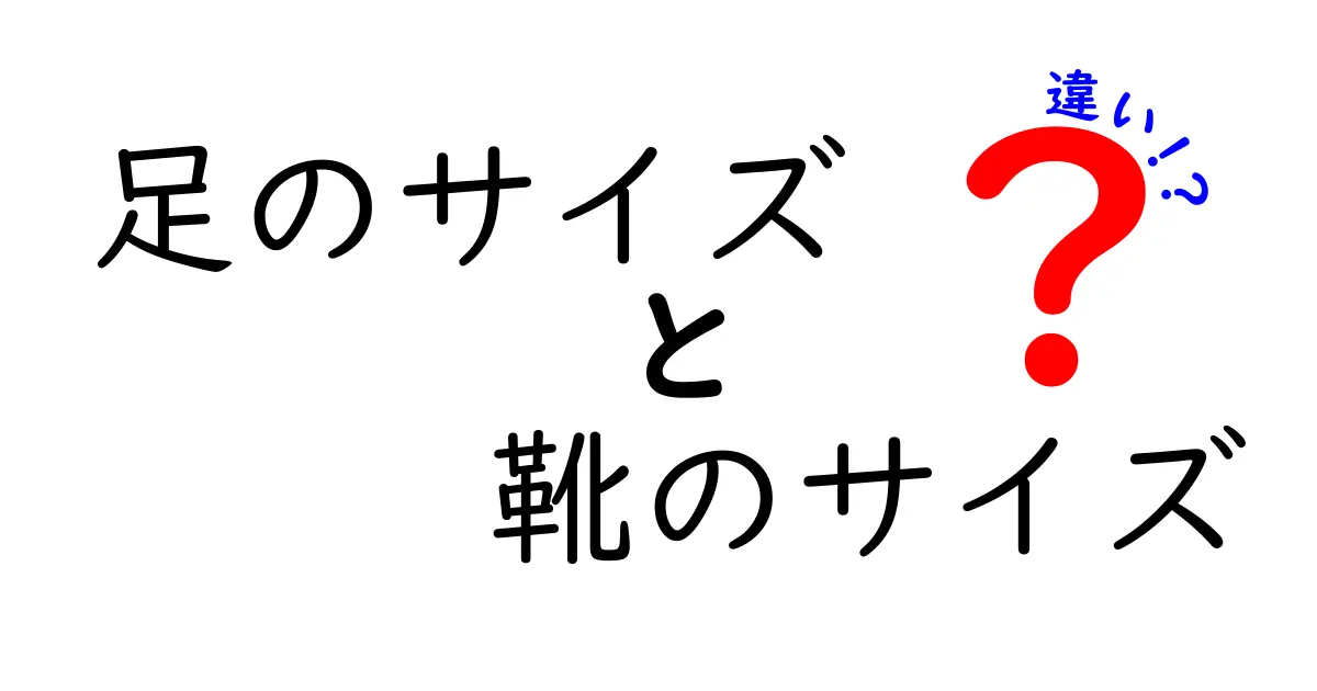 足のサイズと靴のサイズの違いを理解する完全ガイド｜正しい測り方と選び方