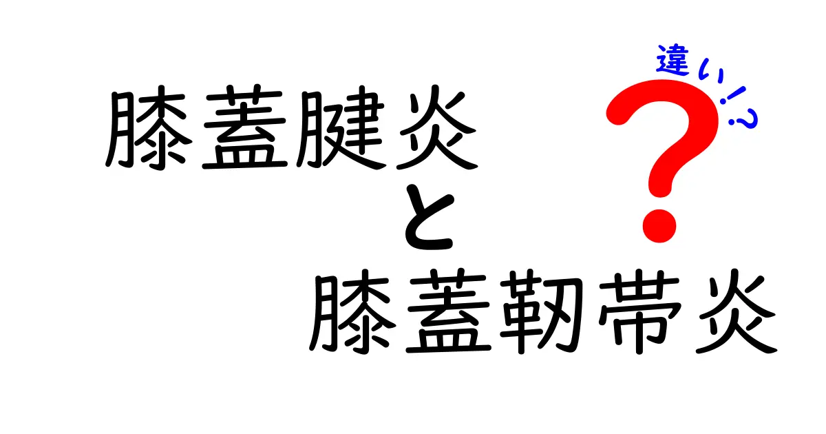 膝蓋腱炎と膝蓋靭帯炎の違いを徹底解説！痛みの原因と見分け方をやさしく解説