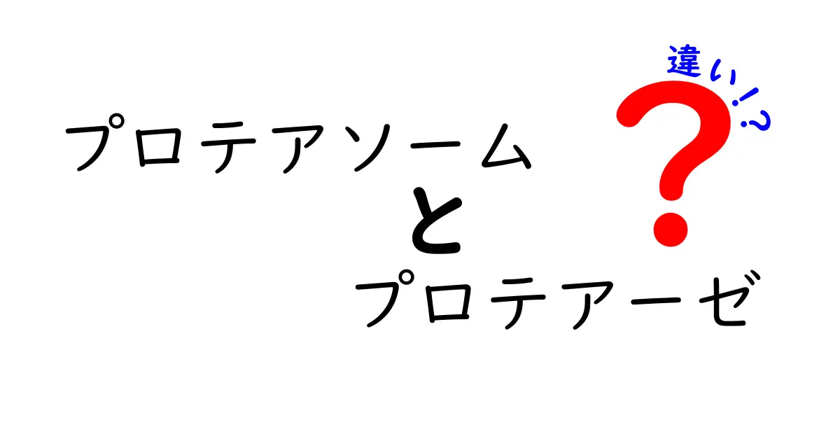 プロテアソームとプロテアーゼの違いを徹底解説！仕組み・役割・身近な誤解まで分かる入門ガイド