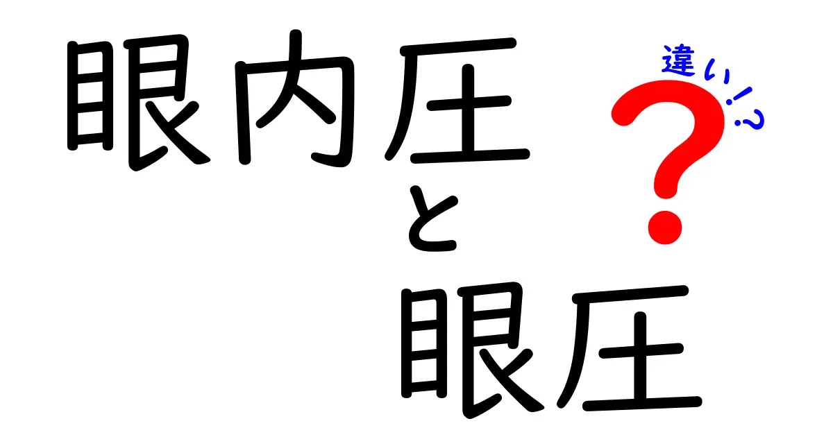 眼内圧と眼圧の違いを徹底解説！中学生にもわかるやさしいまとめ