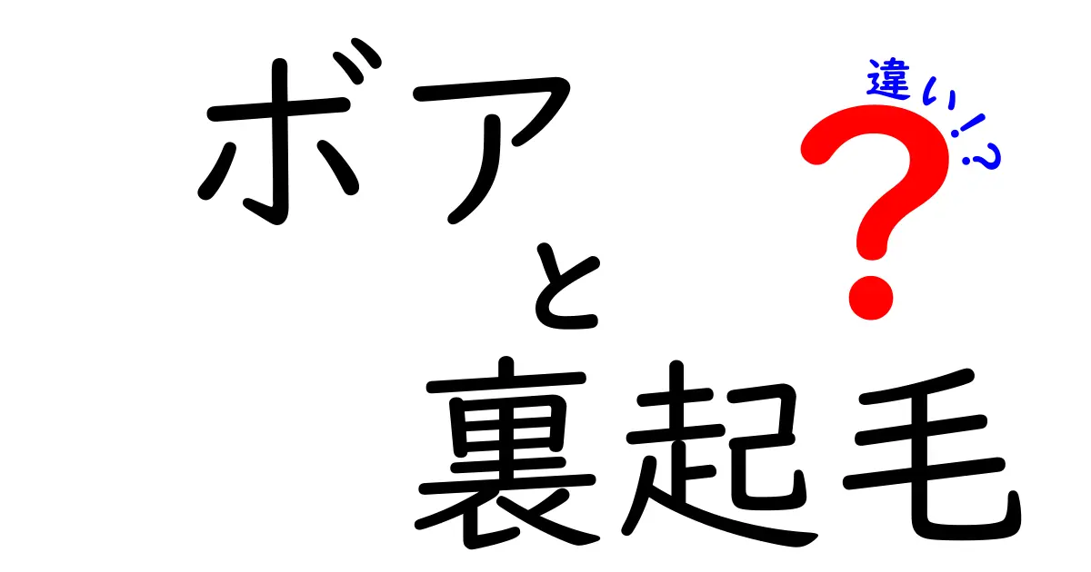 ボアと裏起毛の違いを徹底解説！寒い季節の素材選びを失敗しないポイント