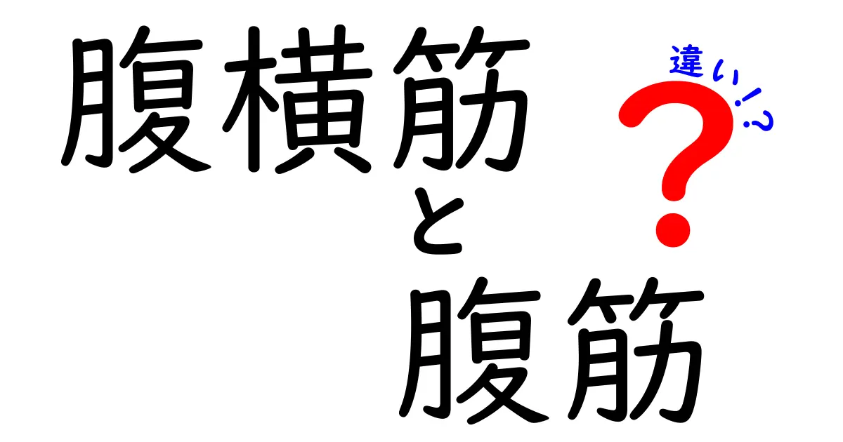 腹横筋と腹筋の違いを徹底解説！正しい鍛え方と日常生活での使い方を知ろう