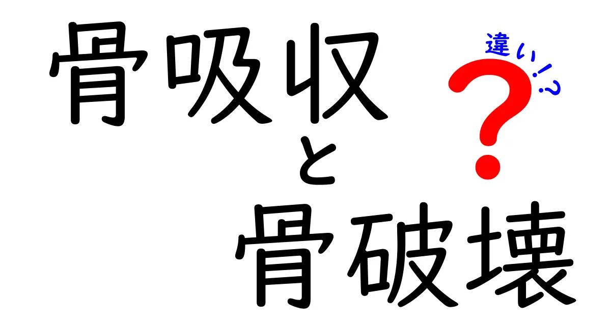 知っておきたい！骨吸収と骨破壊の違いを図解つきで中学生にもわかるように解説