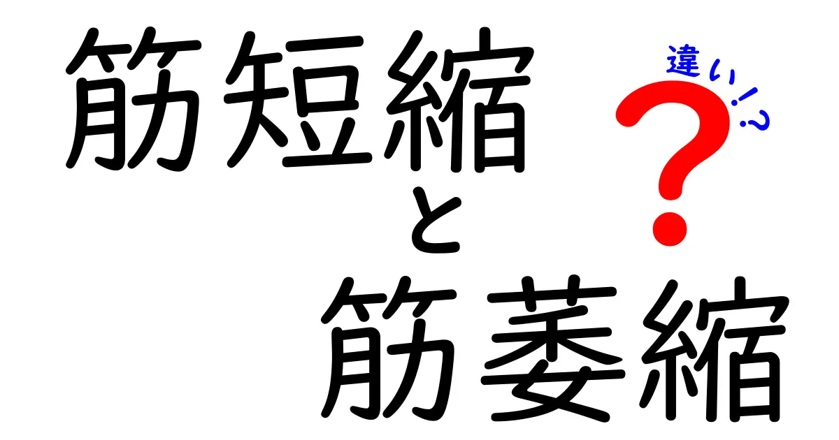 筋短縮と筋萎縮の違いを徹底解説！見分け方と予防のコツを中学生にもわかりやすく