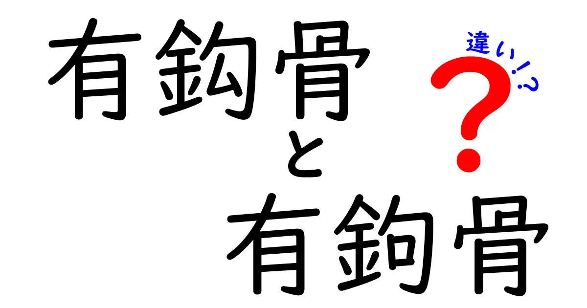 有鈎骨と有鉤骨の違いを徹底解説！表記の謎と使い分けのコツ