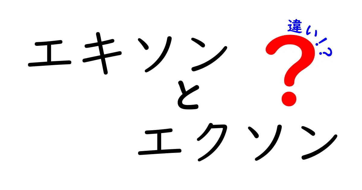 エキソンとエクソンの違いを徹底解説！読み方・意味・使い方を中学生にもわかる図解つき