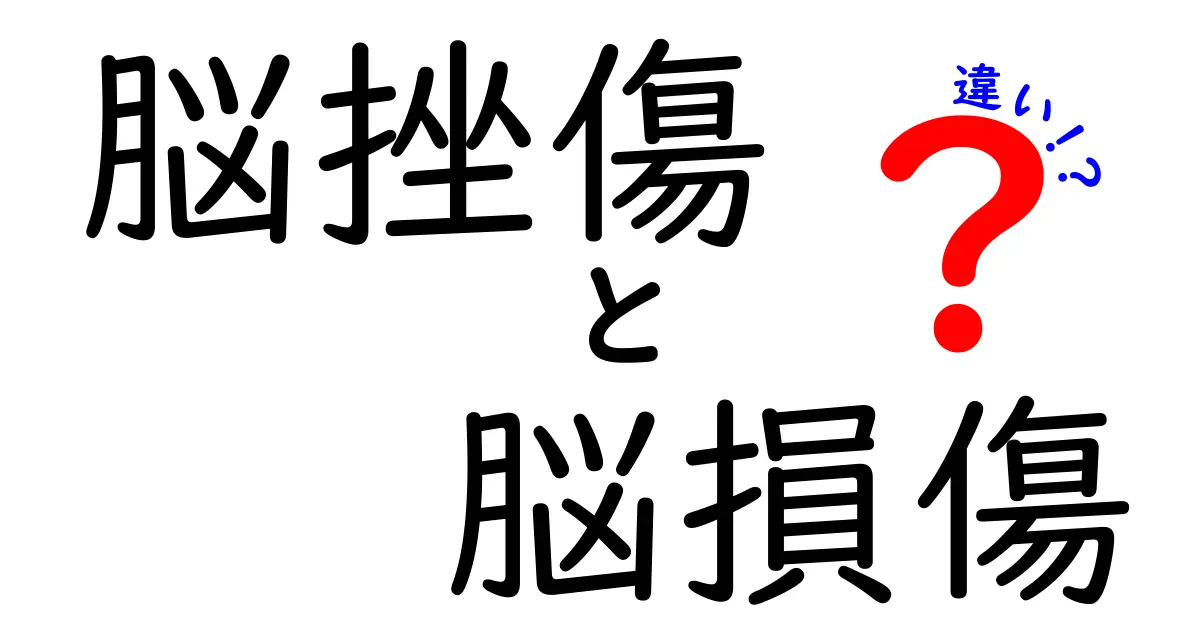 脳挫傷と脳損傷の違いを徹底解説｜中学生にもわかる見分け方と基礎知識