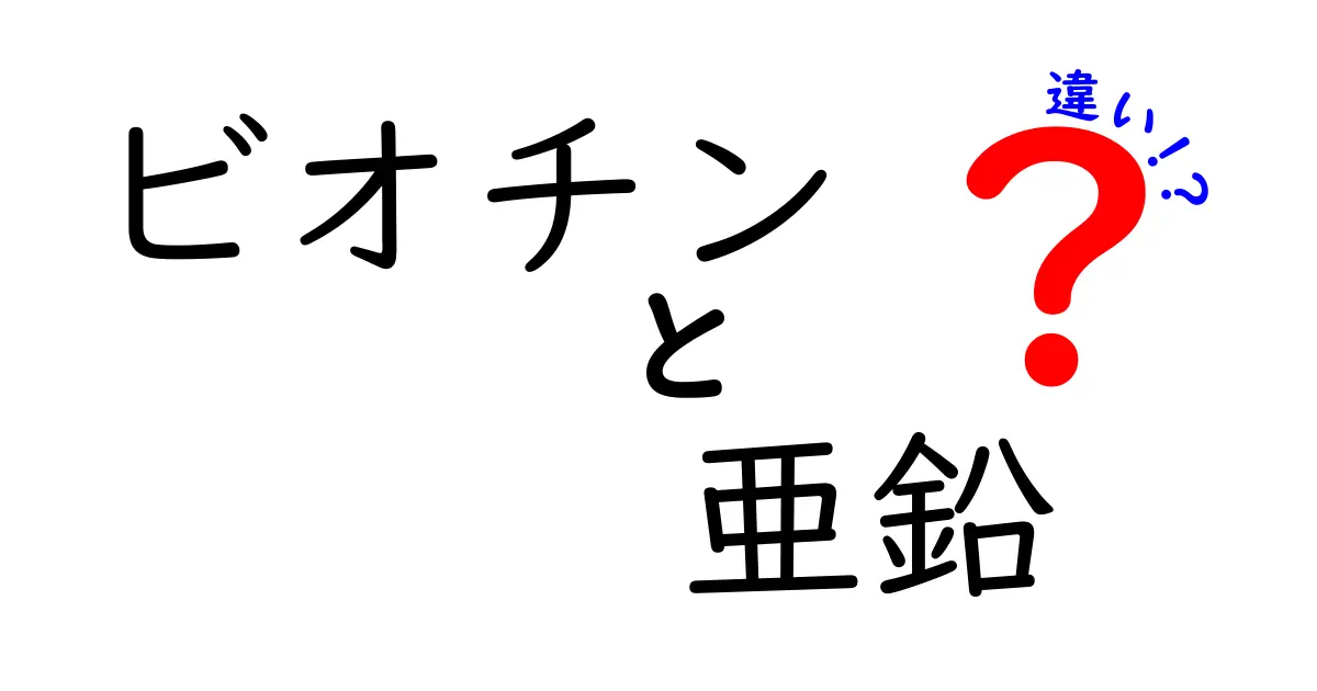 ビオチンと亜鉛の違いを徹底比較｜不足・過剰の影響を中学生にも分かる図解つき