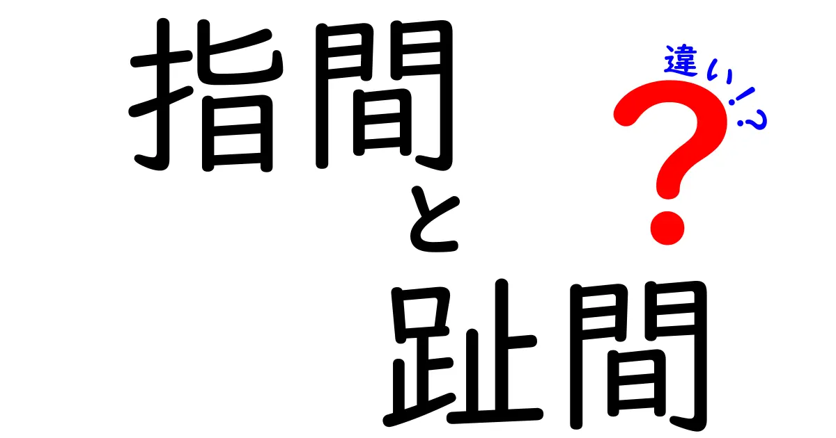 指間と趾間の違いを徹底解説！見分け方と正しいケアのコツ