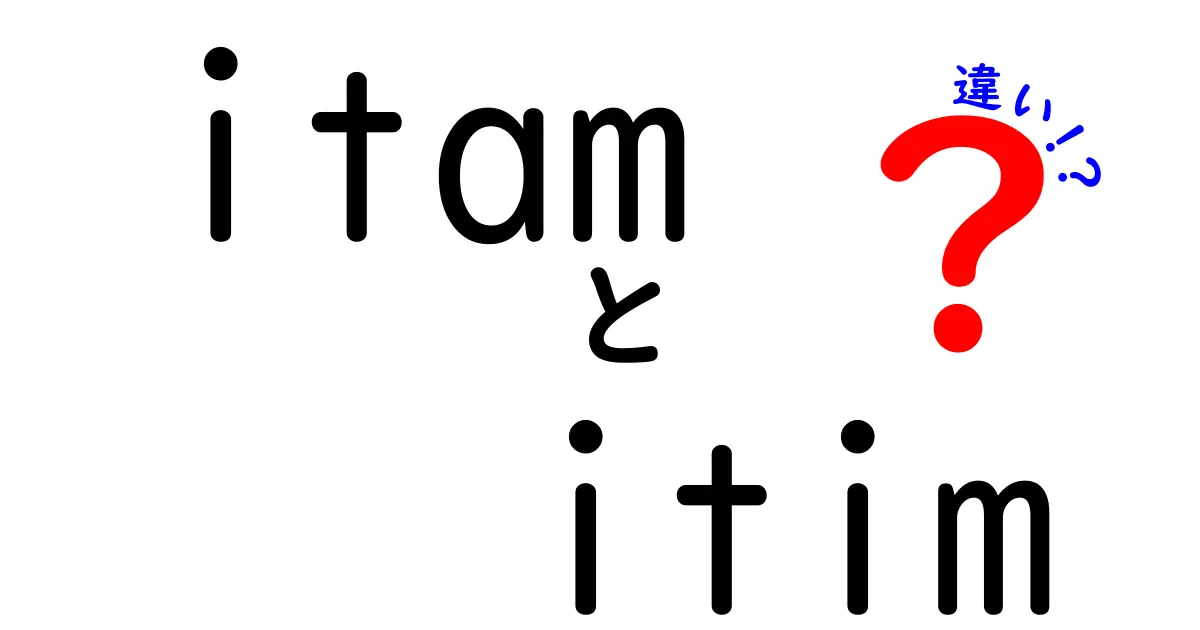 itamとitimの違いを完全ガイド｜意味・使い方・混同を防ぐ実践的ポイント