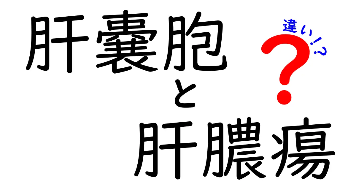 肝嚢胞と肝膿瘍の違いをわかりやすく解説！見分け方と治療のポイント