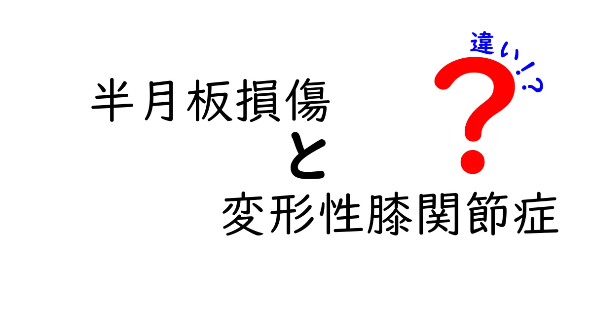 半月板損傷と変形性膝関節症の違いを徹底解説！痛みの正体と見分け方・治療の選び方
