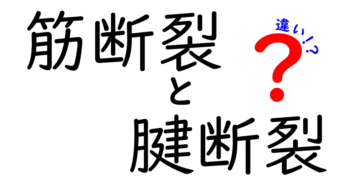 筋断裂と腱断裂の違いを徹底解説｜原因・症状・治療・予防のポイントを中学生にもわかる言葉で