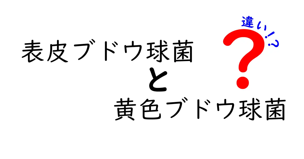 表皮ブドウ球菌と黄色ブドウ球菌の違いを徹底解説 身近な菌の見分け方と感染リスク