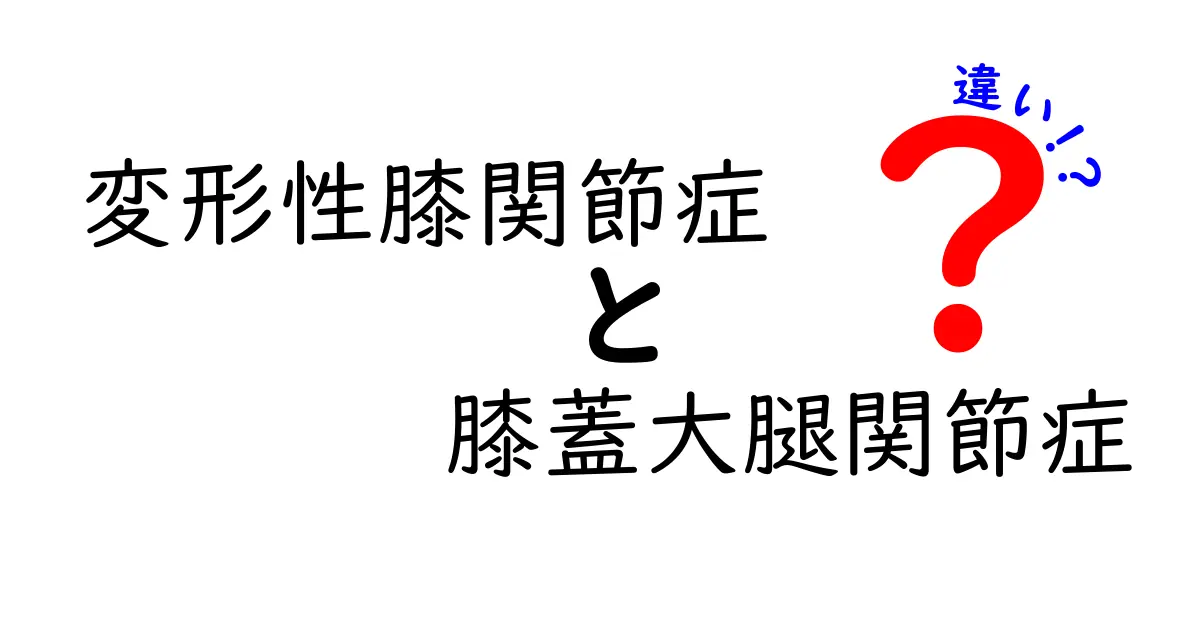変形性膝関節症と膝蓋大腿関節症の違いを徹底比較｜痛みの原因と早期サインを見逃さない