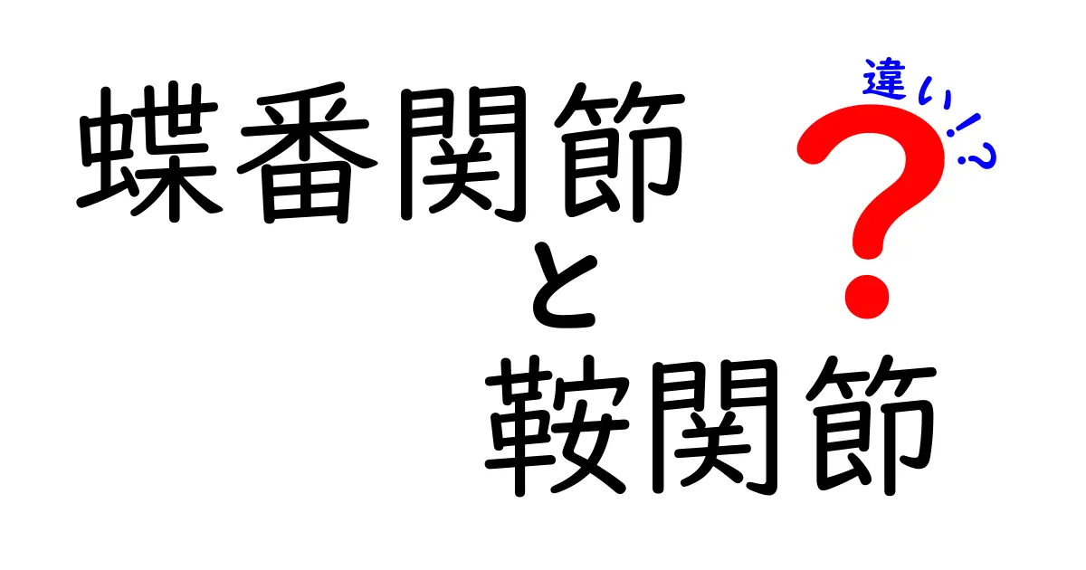 蝶番関節と鞍関節の違いを徹底解説！中学生にもわかる図解つきで理解を深めよう