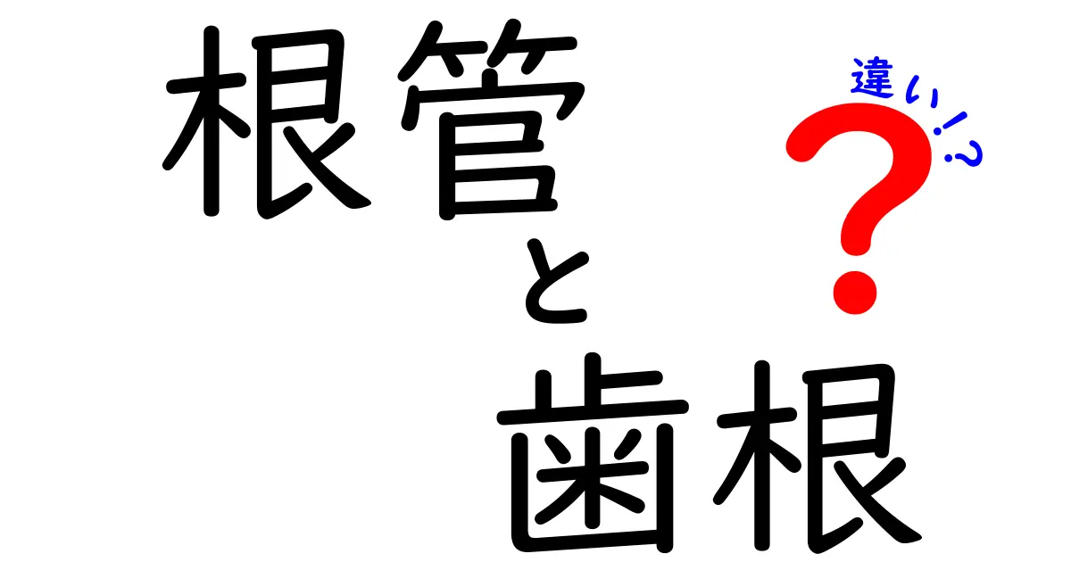 根管と歯根の違いを徹底解説！歯医者さんが教えるポイントと日常の誤解