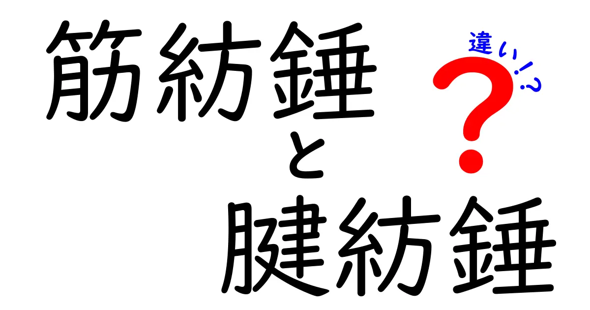 筋紡錘と腱紡錘の違いを徹底解説！中学生にもわかる長さと張力の秘密