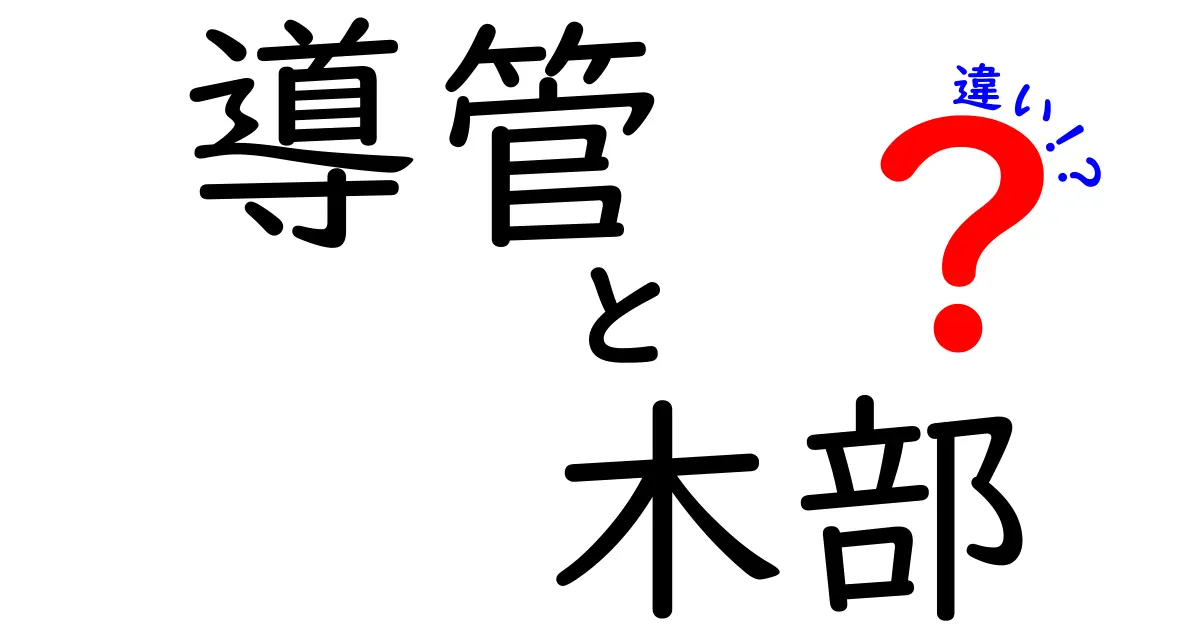 導管と木部の違いを徹底解説！植物の水の通り道をやさしく理解する方法