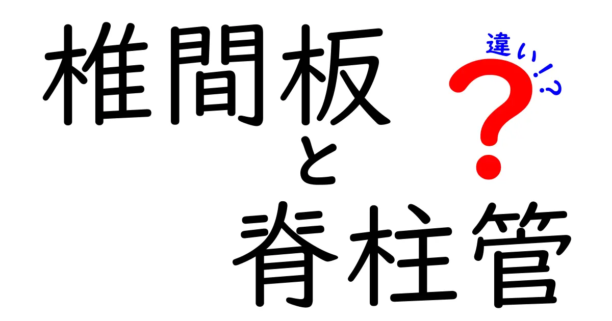 椎間板と脊柱管の違いを徹底解説：痛みの正体を見抜く中学生向けガイド