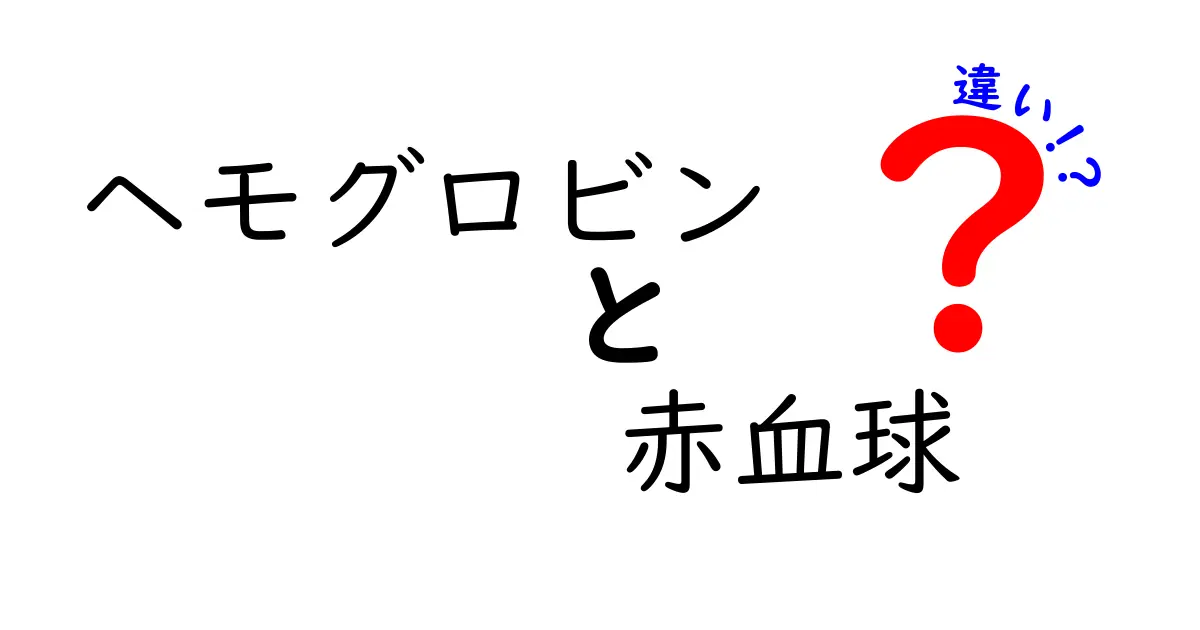 ヘモグロビンと赤血球の違いは何？中学生にも分かるやさしい解説