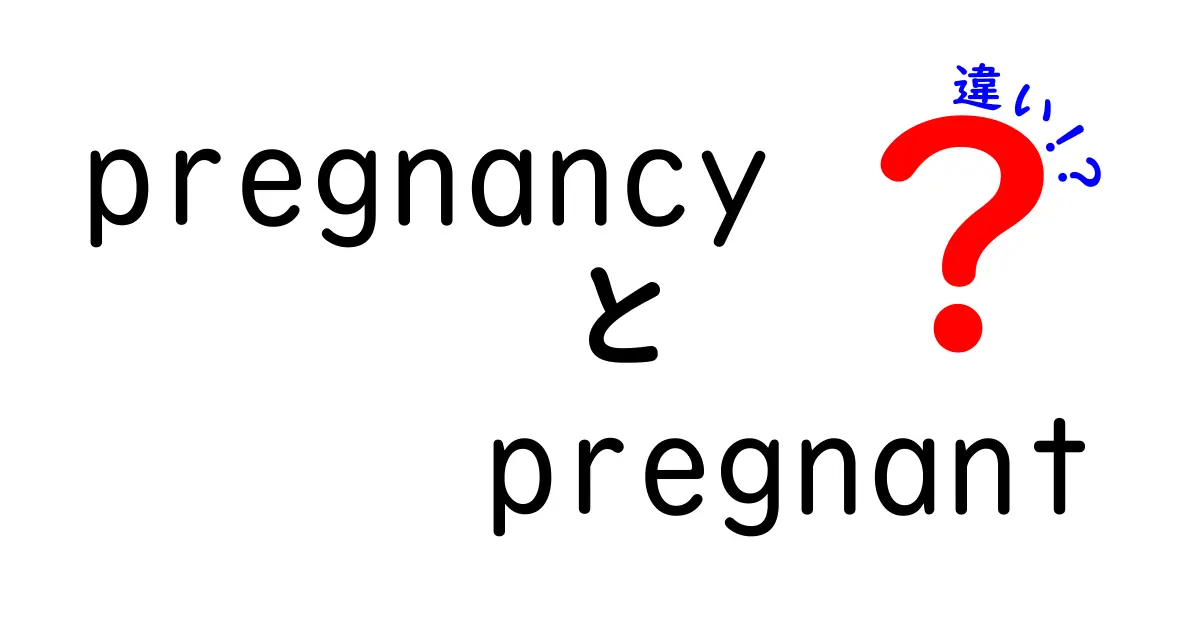 pregnancyとpregnantの違いを徹底解説！意味の違いと正しい使い方を中学生にも分かる日本語で