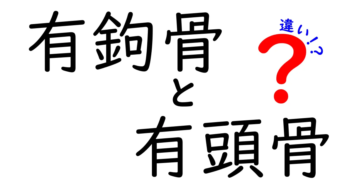 有鉤骨と有頭骨の違いを徹底解説！中学生にもわかる図解つき