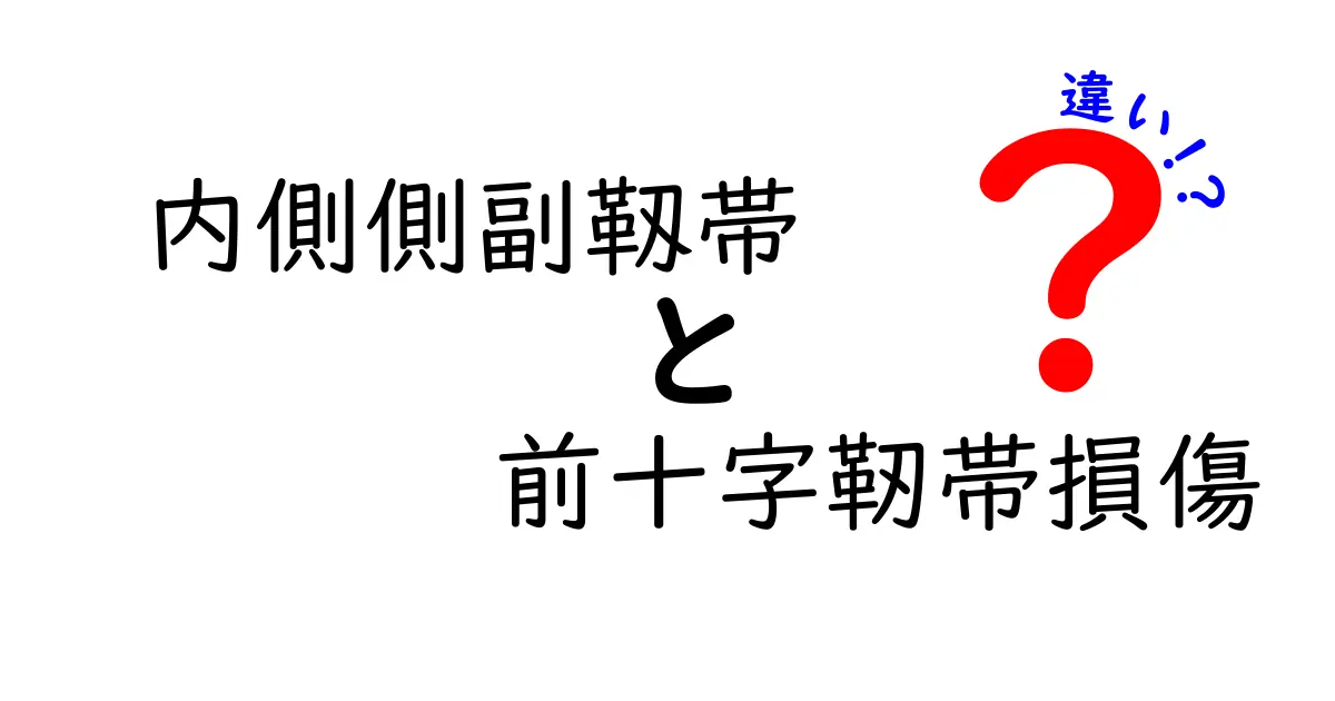 内側側副靭帯と前十字靭帯損傷の違いを徹底解説｜靭帯の役割と怪我の特徴をわかりやすく比較