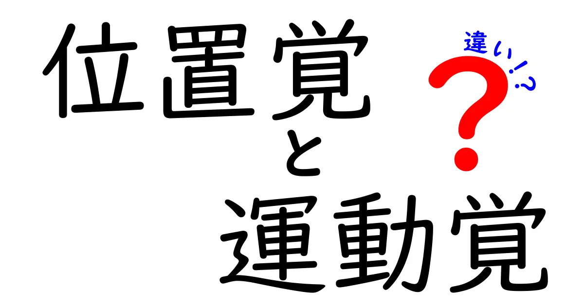 位置覚と運動覚の違いを徹底解説！中学生にも伝わる分かりやすいポイント