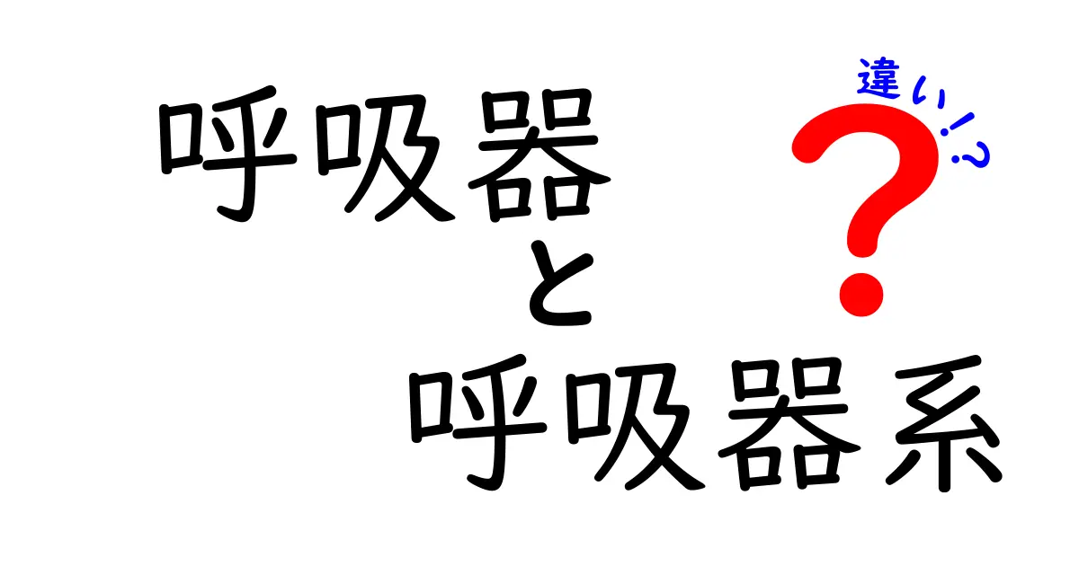 呼吸器と呼吸器系の違いを徹底解説：中学生にも分かるやさしいポイントと見分け方