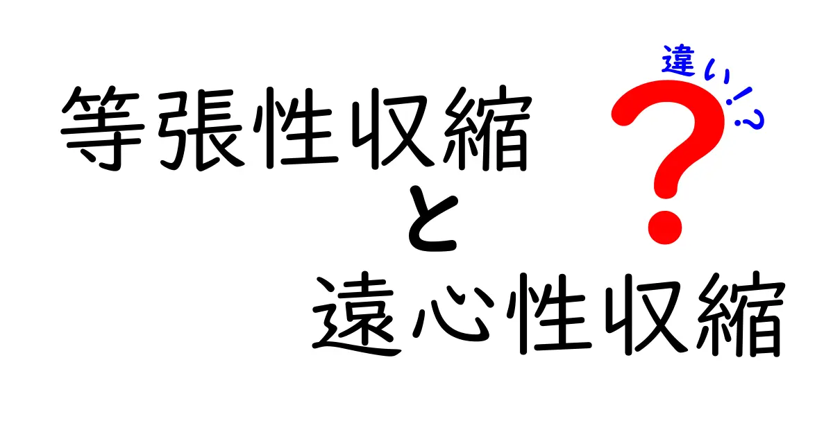 等張性収縮と遠心性収縮の違いを徹底解説！筋トレ初心者が知っておくべき基本と実践ポイント