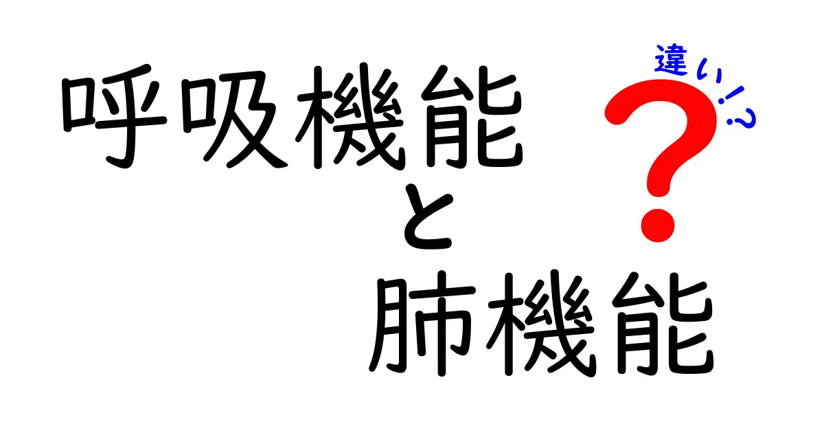呼吸機能と肺機能の違いを徹底解説！中学生にも分かるポイントまとめ