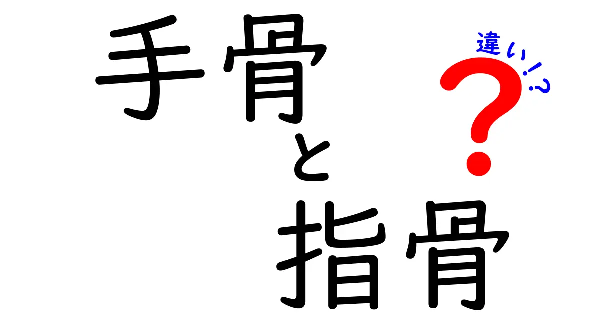 手骨と指骨の違いを完全マスター！中学生にも分かる解剖図解つき