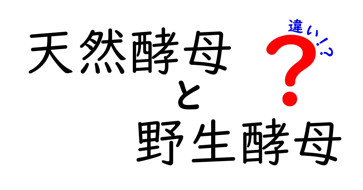 天然酵母と野生酵母の違いを徹底解説！パン作り初心者にもわかる基礎知識