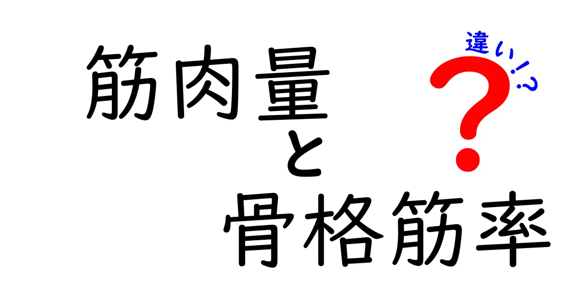 筋肉量と骨格筋率の違いを解説！中学生にもわかる基礎と生活への活かし方