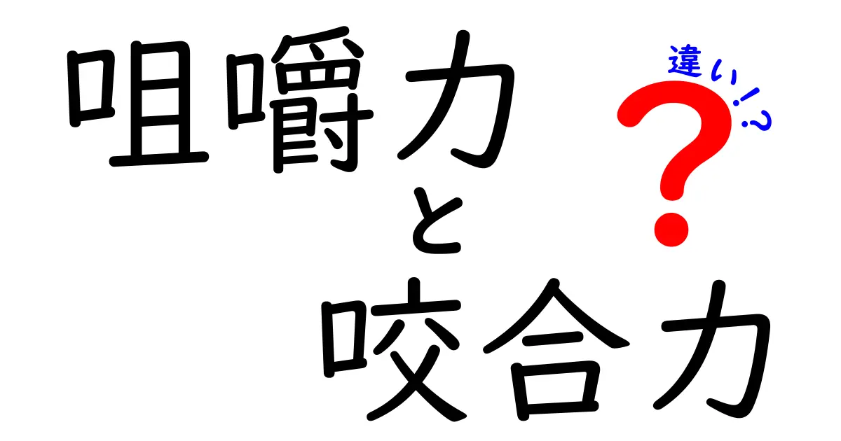 咀嚼力と咬合力の違いを徹底解説！食べ物を味わう力と歯の力の本当の意味とは
