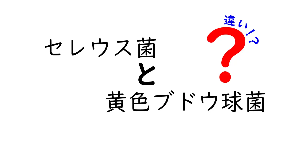 セレウス菌と黄色ブドウ球菌の違いを徹底解説！食品衛生の視点からわかるポイント