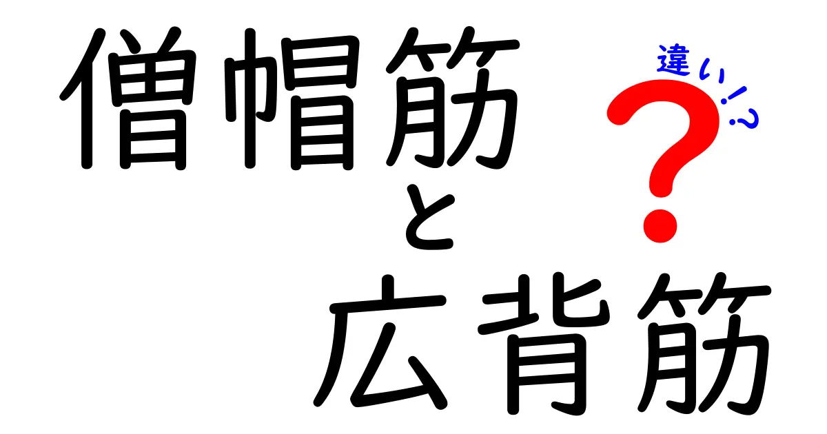 【徹底解説】僧帽筋と広背筋の違いを正しく理解してトレーニングを変える方法
