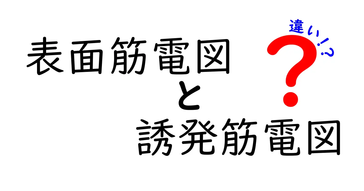 表面筋電図と誘発筋電図の違いをわかりやすく解説！中学生にも伝わる使い分けのコツ