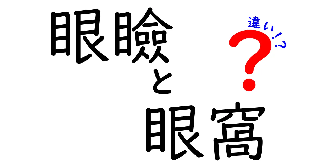 眼瞼と眼窩の違いを分かりやすく解説！目の部位別の特徴と正しいケア