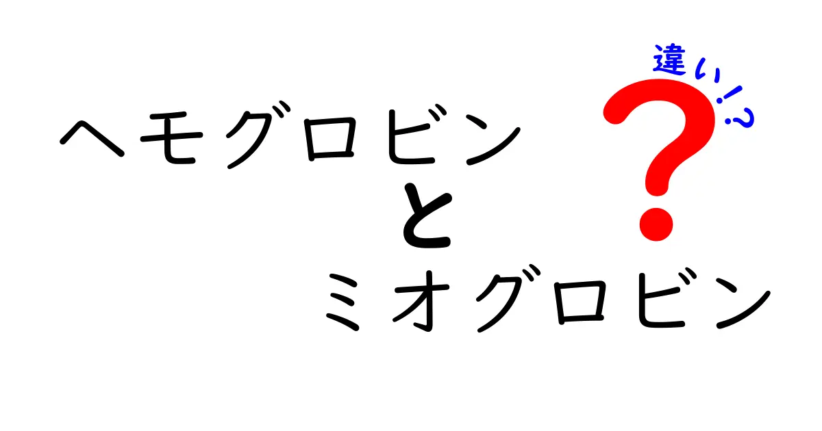 ヘモグロビンとミオグロビンの違いを徹底解説！中学生にも分かる体の酸素運搬のしくみ