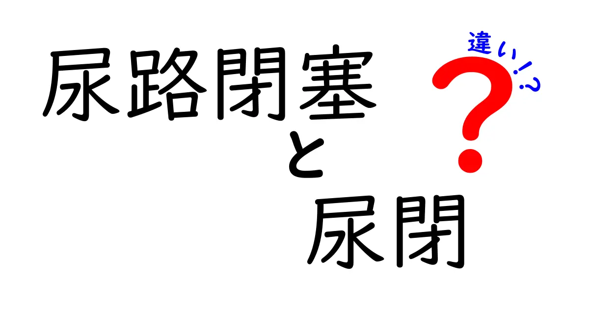 尿路閉塞と尿閉の違いを徹底解説｜症状が似て見える理由と見分け方