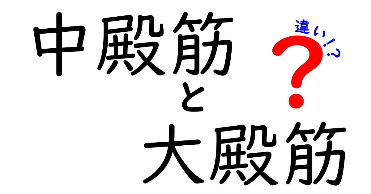中殿筋と大殿筋の違いを徹底解説！初心者でも分かる筋肉の役割とトレーニングのポイント