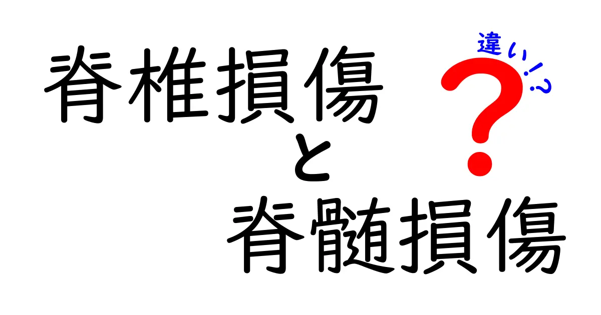 脊椎損傷と脊髄損傷の違いを徹底解説｜原因・症状・治療を中学生にもわかりやすく